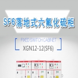 落地式高壓充氣式開關柜_高低壓開關柜